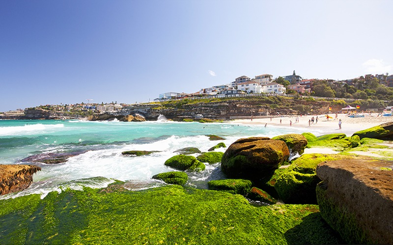 Tamarama with mossy rocks in the foreground on a sunny day
