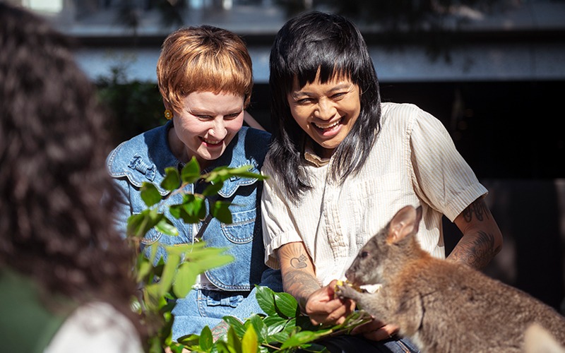 Two women feeding a wallaby and laughing at Taronga Zoo